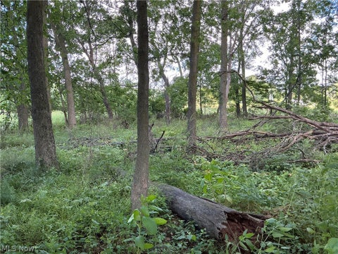 Tiny photo for Dolphin Street SW, Strasburg, OH 44680 (MLS # 5220811)