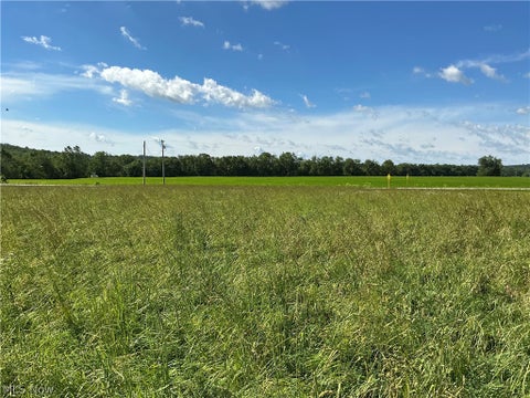 Tiny photo for Dolphin Street SW, Strasburg, OH 44680 (MLS # 5220811)