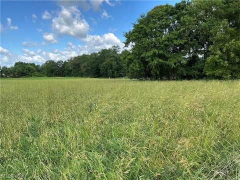 Tiny photo for Dolphin Street SW, Strasburg, OH 44680 (MLS # 5220811)
