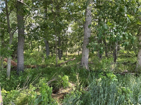 Tiny photo for Dolphin Street SW, Strasburg, OH 44680 (MLS # 5220811)