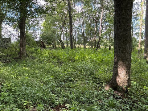 Tiny photo for Dolphin Street SW, Strasburg, OH 44680 (MLS # 5220811)