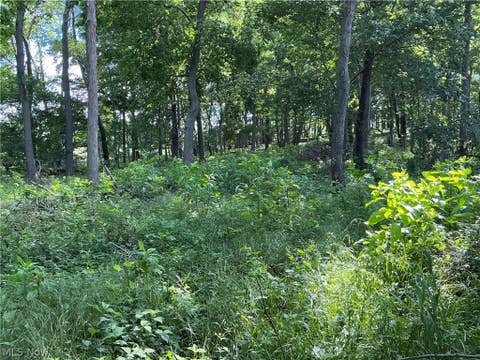 Tiny photo for Dolphin Street SW, Strasburg, OH 44680 (MLS # 5220811)