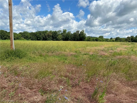 Tiny photo for Dolphin Street SW, Strasburg, OH 44680 (MLS # 5220811)