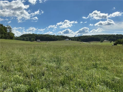 Tiny photo for Dolphin Street SW, Strasburg, OH 44680 (MLS # 5220811)