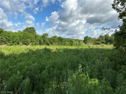 Tiny photo for Dolphin Street SW, Strasburg, OH 44680 (MLS # 5220811)