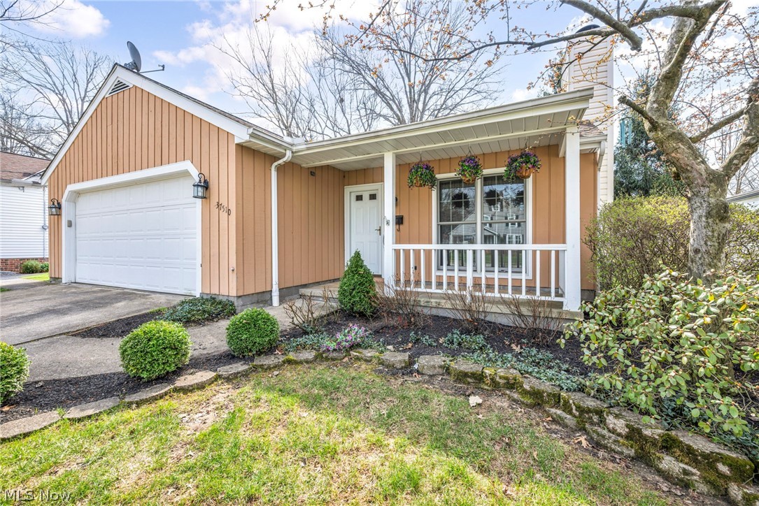 Orchard Park Allotment - Residential