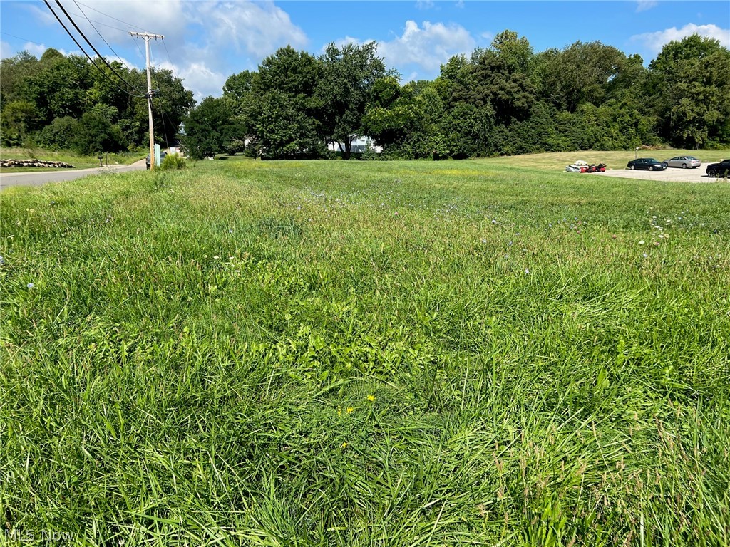 Fantastic 1.17 acre corner Commercial lot, zoned B-3 on the very busy Whales Ave NW. Multiple possibilities to start your new business here, public water available both on Braucher St NW and on Whales Ave NW.