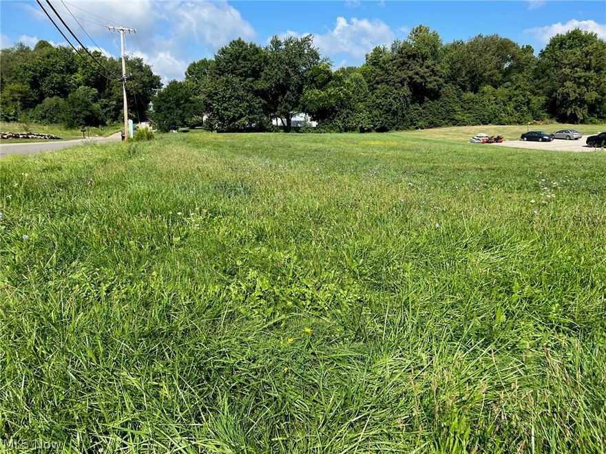 Fantastic 1.17 acre corner Commercial lot, zoned B-3 on the very busy Whales Ave NW. Multiple possibilities to start your new business here, public water available both on Braucher St NW and on Whales Ave NW.