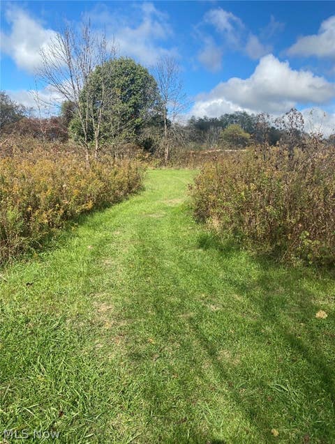 Vacant Land For Sale - 13340 0 Township Rd 59 And County Rd 54<br/> Mount Perry, OH 43760
