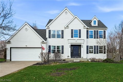 Homes For Sale - 3887 Myrtle Lane<br/> Medina County, Brunswick, OH 44212