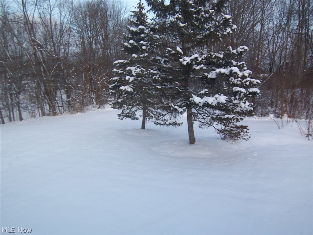 Woodbury Condo - Residential