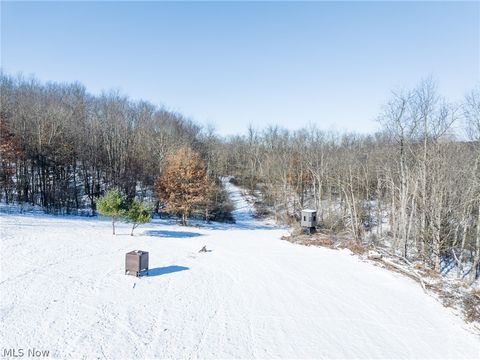 Vacant Land For Sale - NE Avon Road<br/> Carrollton, OH 44615