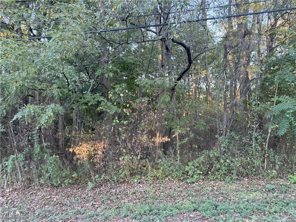 105 x 356 Wooded lot - perfect to build your dream home. Almost an acre! Being sold "as-is" to settle an estate.