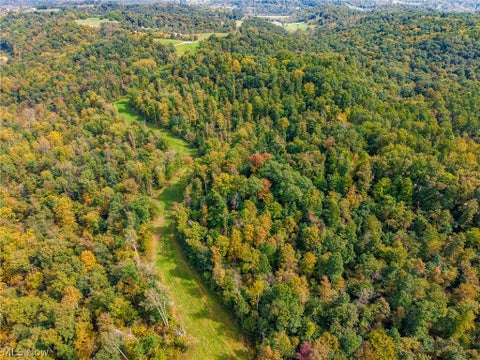 Vacant Land For Sale - Lew Marten Road<br/> Summerfield, OH 43788