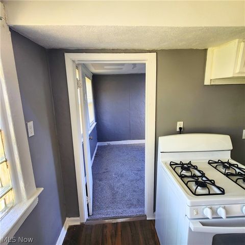 Tiny photo for 3198 E 118th Street, Cleveland, OH 44120 (MLS # 5221700)