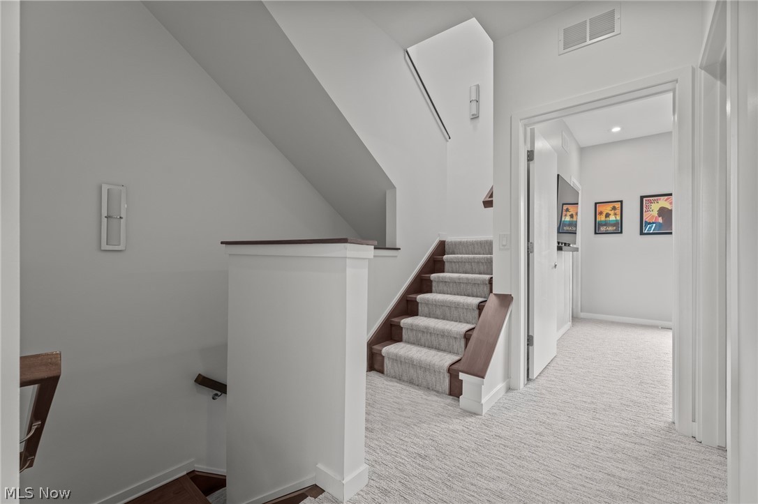 The Vine - Residential