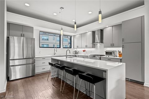 Tiny photo for 3114 Vine Court, Cleveland, OH 44113 (MLS # 5199552)