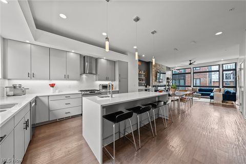 Tiny photo for 3114 Vine Court, Cleveland, OH 44113 (MLS # 5199552)