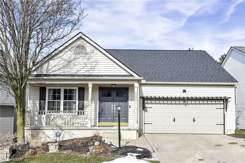 Homes For Sale - 4521 Newkirk Drive<br/> Medina County, Brunswick, OH 44212