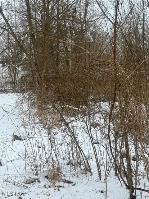 Vacant Land For Sale - 2668 Draper Avenue<br/> Trumbull County, Warren, OH 44484