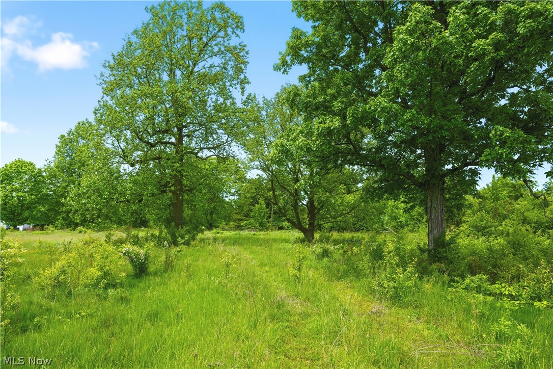 3133 Greenwich Road