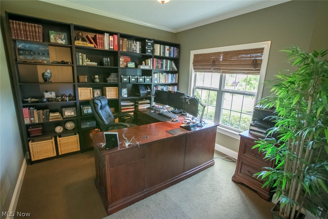 Whitetail Crossing - Residential