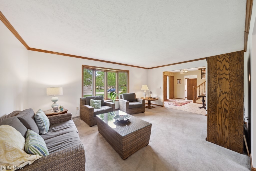 Cedar Estates 06 - Residential