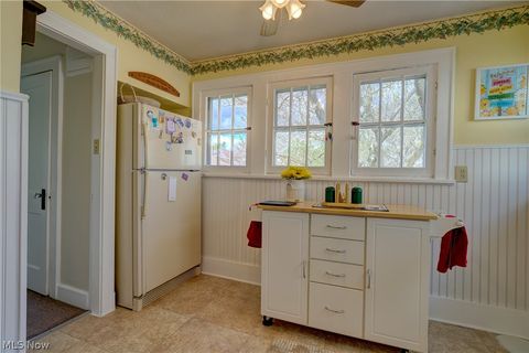 Tiny photo for 1200 Lily Street, Akron, OH 44301 (MLS # 5206831)