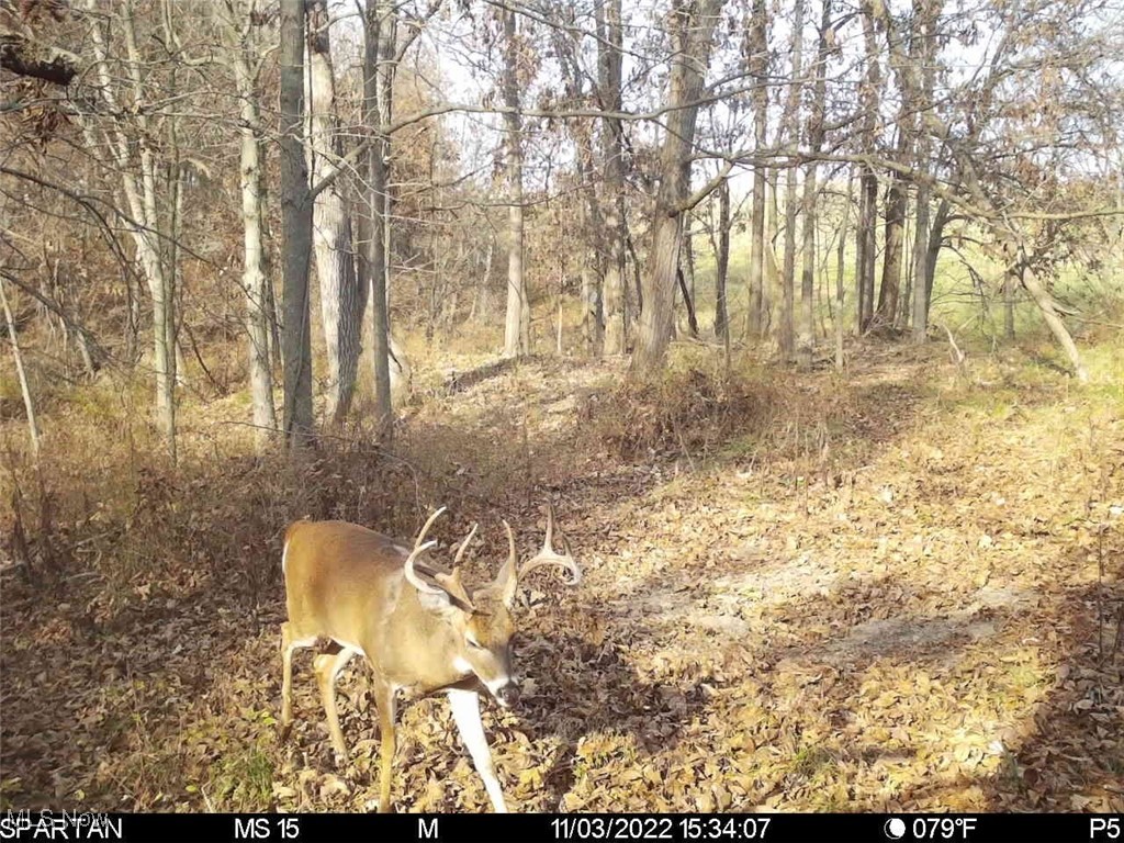 Monroe Sec 14 - Land