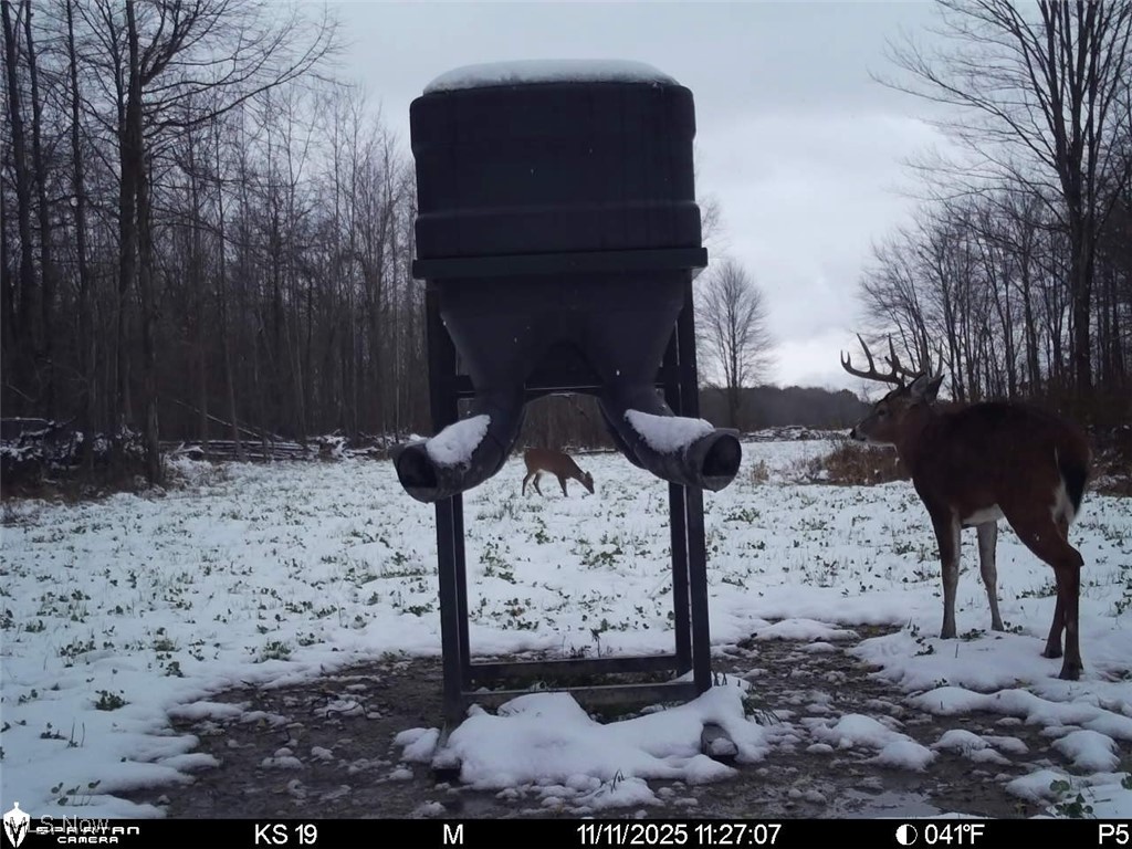 Monroe Sec 14 - Land