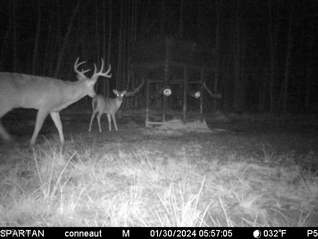 Monroe Sec 14 - Land