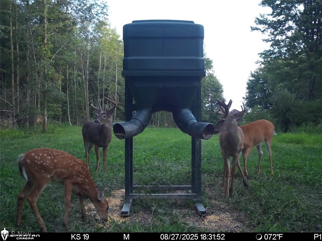 Monroe Sec 14 - Land