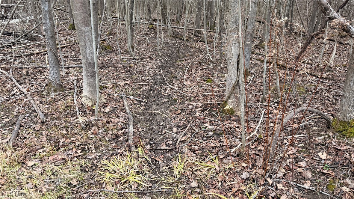 Monroe Sec 14 - Land