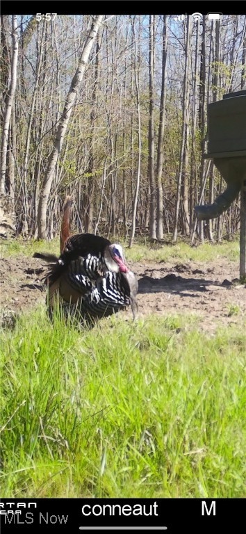 Monroe Sec 14 - Land