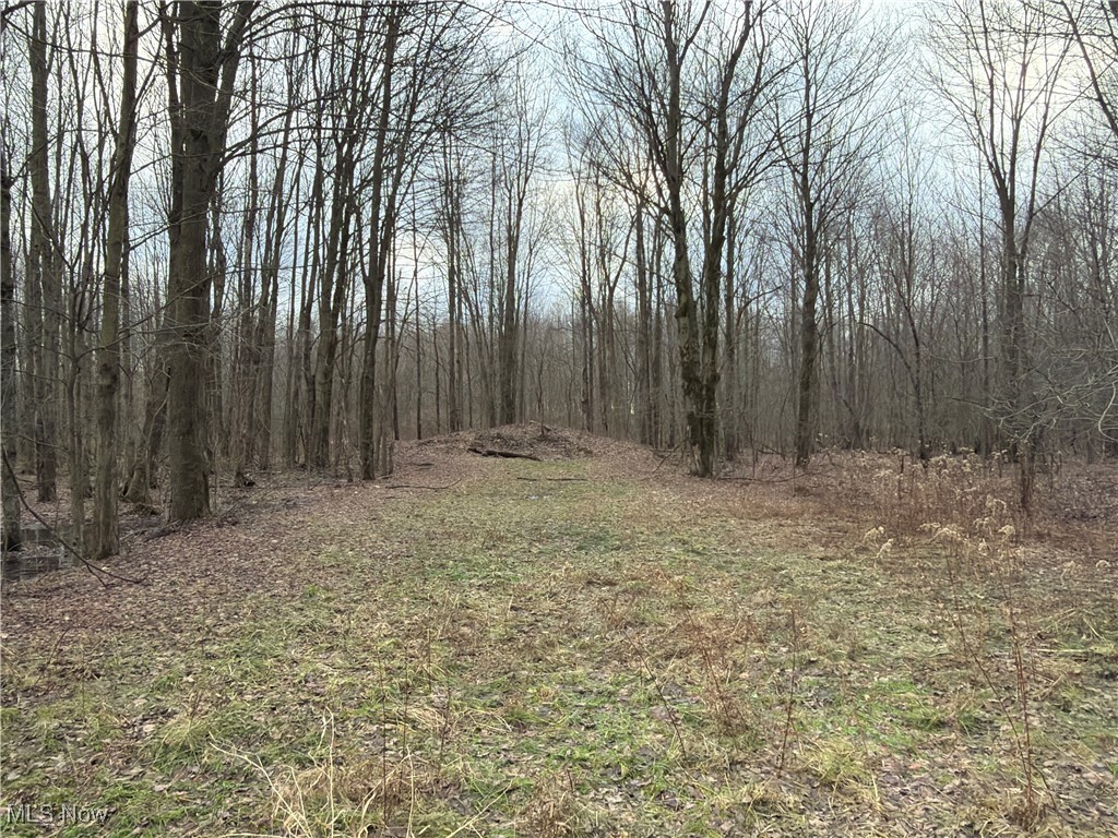 Monroe Sec 14 - Land