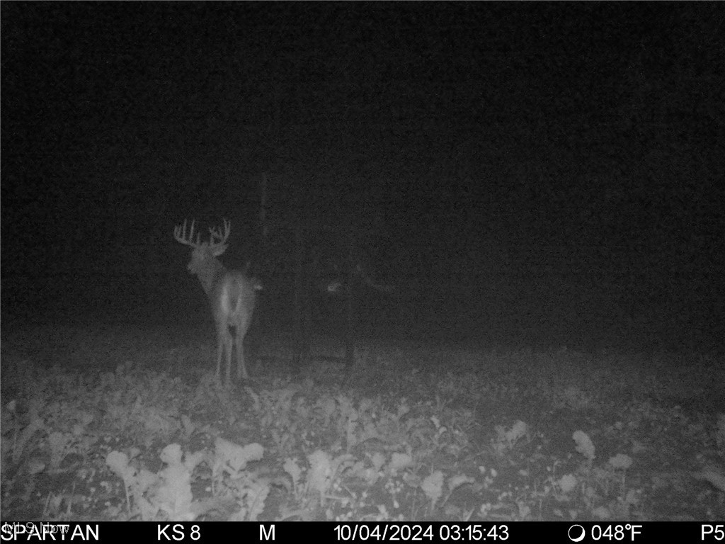 Monroe Sec 14 - Land