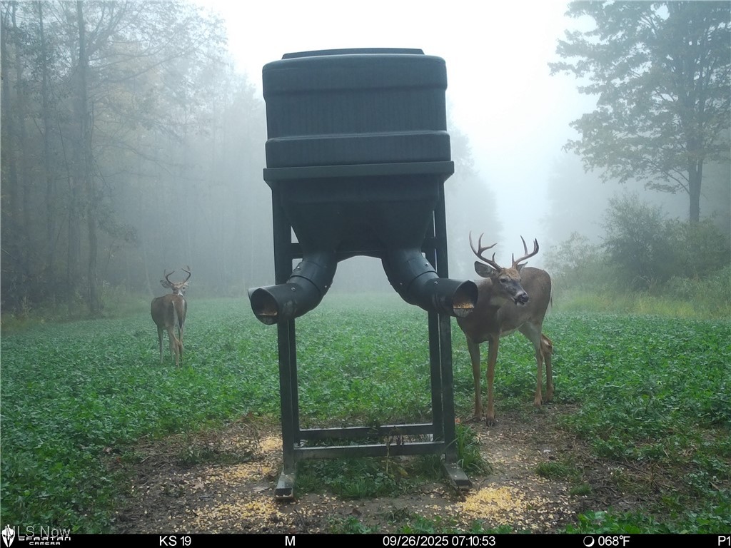 Monroe Sec 14 - Land