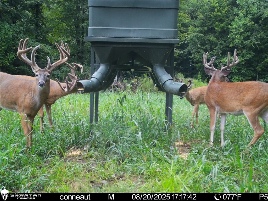 Monroe Sec 14 - Land