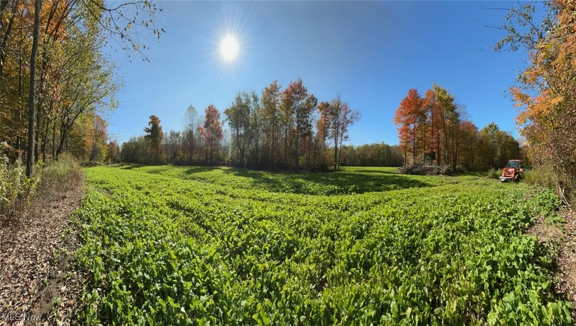 Monroe Sec 14 - Land