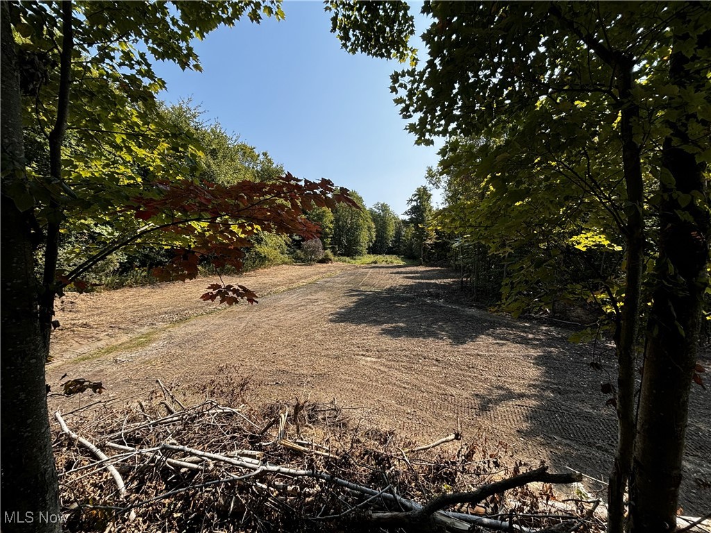 Monroe Sec 14 - Land