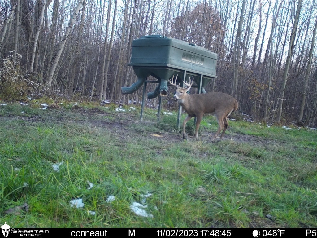 Monroe Sec 14 - Land