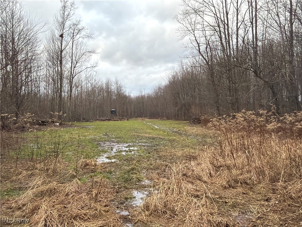 Monroe Sec 14 - Land