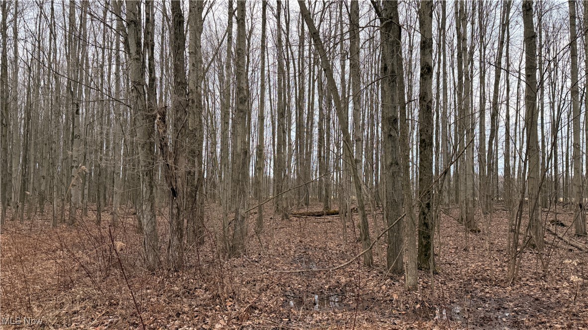 Monroe Sec 14 - Land