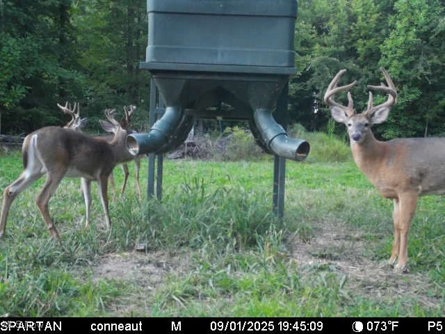 Monroe Sec 14 - Land