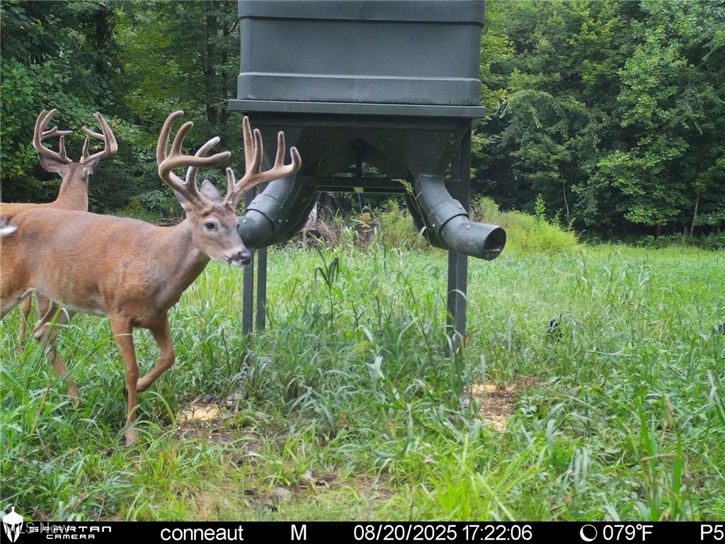 Monroe Sec 14 - Land