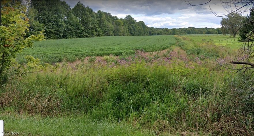 The land is ready to build and/or farm with 210 frontage on a quiet rural road and near shopping, restaurants, and routes 5 and 11. This is perfect land for building your dream home as well as farming the rest. It has a culvert and driveway.
The land is all ready for farming. The farmer is harvesting the crops at the end of the season, and buyer may continue the cropping process, or choose another route.  There is now long term contract after harvesting.
The wooded area has been harvested by Amish and could bring the buyer more profit, if they choose do have them continue to harvest.
