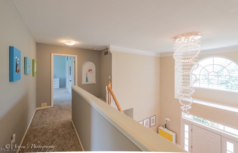 Ethans Green Ph 9a - Residential