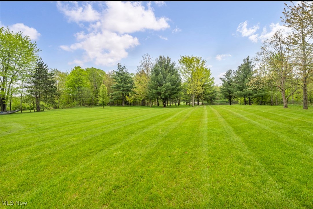 972 Ashford Court, Medina, Ohio image 42