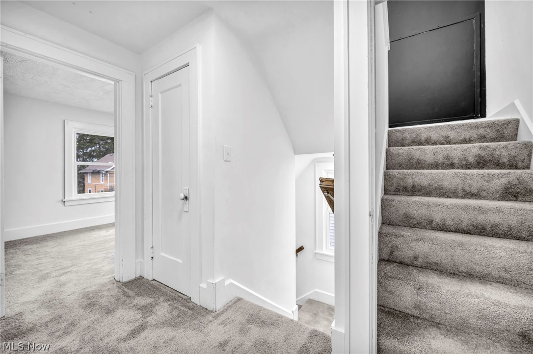 Bonner Allotment - Residential