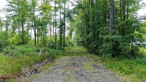 Vacant Land For Sale - Bushnell Campbell<br/> Kinsman, OH 44428